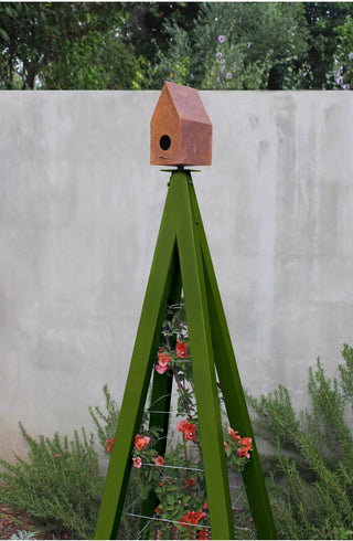  || https://assets.gardeners.com/transform/8244002f-8ea6-42f1-9e45-547be9926d57/8600538_10V