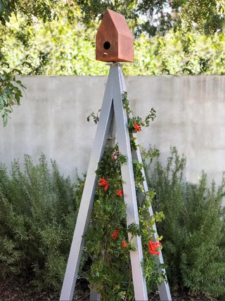  || https://assets.gardeners.com/transform/e422f5e8-6c8b-4ffc-b0d1-ae837750cd9c/8600541_07V-jpg