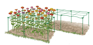  || https://assets.gardeners.com/transform/1e8cb929-1fcc-41ce-9bdb-17a3ef6084e0/8600620_0001_art-tif
