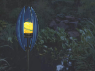  || https://assets.gardeners.com/transform/70b3c5fd-8a02-40dd-a8c3-9b496782d722/8600622_02V-tif