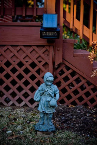  || https://assets.gardeners.com/transform/58df56a5-a616-4d47-86c9-8a3d6505e4a1/8607650_04V-tif