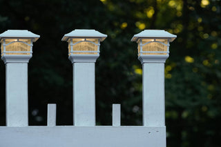  || https://assets.gardeners.com/transform/721a10c1-26ec-4d6b-8962-bffe016106e5/8608699_06V-tif