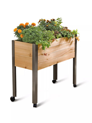 || https://assets.gardeners.com/transform/949f5e87-822e-4db3-a8b4-a0d9ed03d1b5/8608781_0555-tif