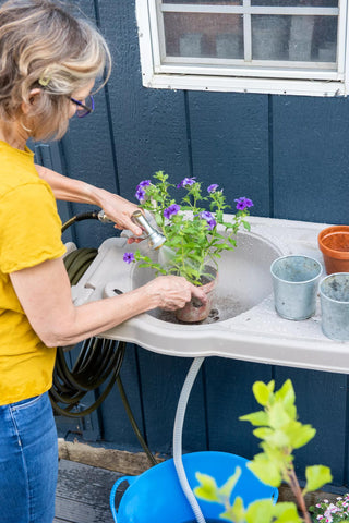  || https://assets.gardeners.com/transform/32bd8636-479e-4e01-ae5a-004f867af678/8608797_0134-tif