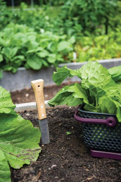 Gardener's Lifetime Hori Hori Knife by DeWit | Gardeners.com