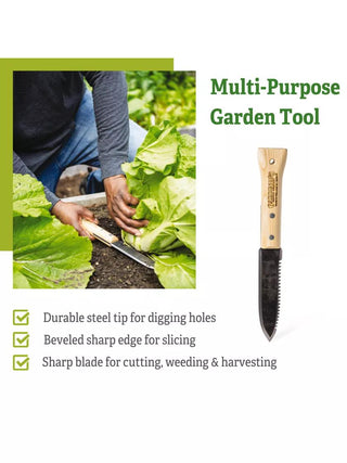  || https://assets.gardeners.com/transform/8d57113a-8075-43e0-ba17-2ed72988c9d5/8608888_4