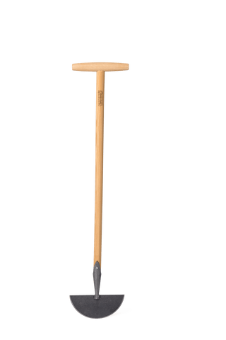  || https://assets.gardeners.com/transform/f61083a7-820a-4a20-8aba-8c93b97378e5/8608889_0970-tif