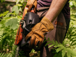  || https://assets.gardeners.com/transform/b5b36aa3-5c33-48a2-8ee0-163502c50357/8608918_07V-jpg
