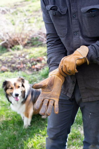  || https://assets.gardeners.com/transform/b676db78-1a9c-4c1a-be5d-872fb1e1c11d/8608918_09V-jpg