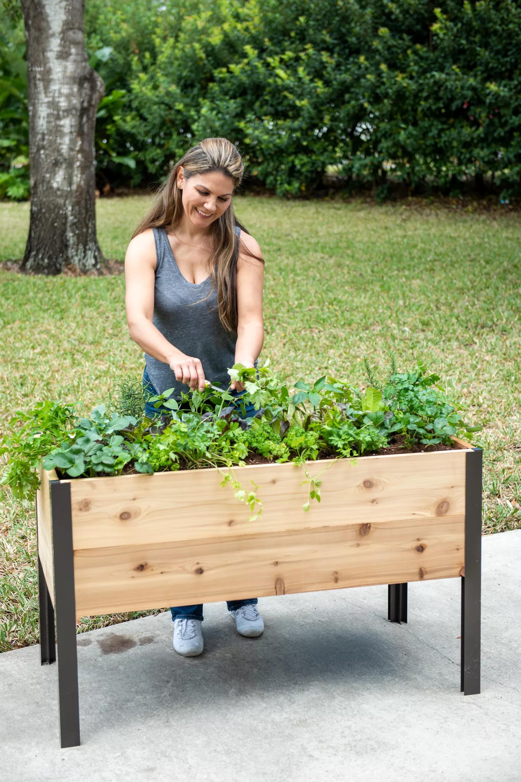 elevated self watering planter box Self-Watering Elevated Cedar Planter Box, 2' x 4'