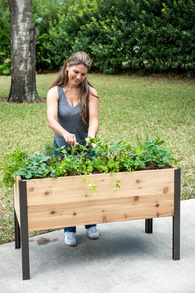 self watering elevated cedar planter Self-Watering Elevated Cedar Planter Box 2x4