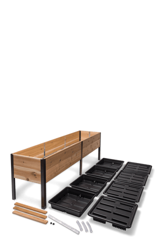  || https://assets.gardeners.com/transform/a22505a4-86a4-4b46-9b3c-4b909cc8bc29/8608960_2297-tif