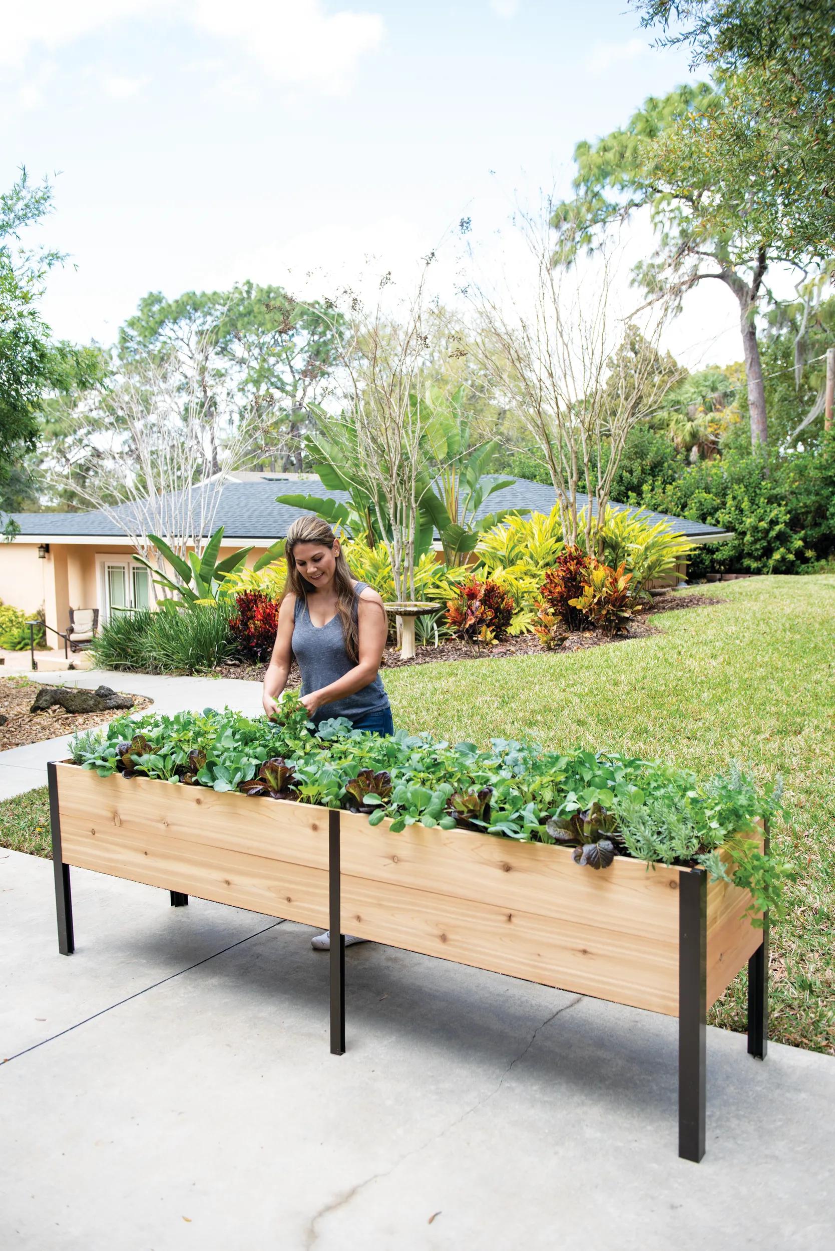 self watering system for planter boxes Self-Watering Elevated Cedar Planter Box, 2 x 8 | Made in USA
