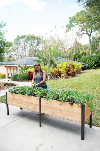 elevated planter indoor Self-Watering Elevated Cedar Planter Box, 2 x 8 | Made in USA