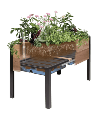  || https://assets.gardeners.com/transform/899c9ef1-f6c0-4c52-b1d9-9e60da089dd3/8609009_SW_insert_art_2021-tif