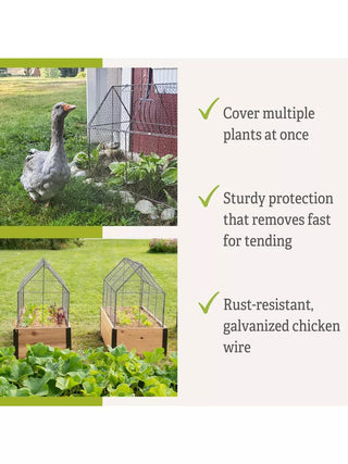  || https://assets.gardeners.com/transform/d51f884b-0afa-426d-9563-bbe475bf8dd7/8609080_2