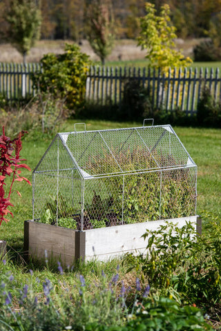  || https://assets.gardeners.com/transform/08f71111-5243-4feb-b054-4b20dc66e211/8609080_4022