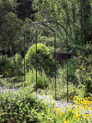  || https://assets.gardeners.com/transform/5755016a-b52f-448e-8879-1825cad8d1c9/8609161_01V_achla-monet-arbor