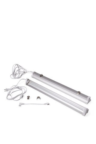  || https://assets.gardeners.com/transform/3ea51088-2d1f-49f3-acf5-480a195875bb/8609175_5295-tif