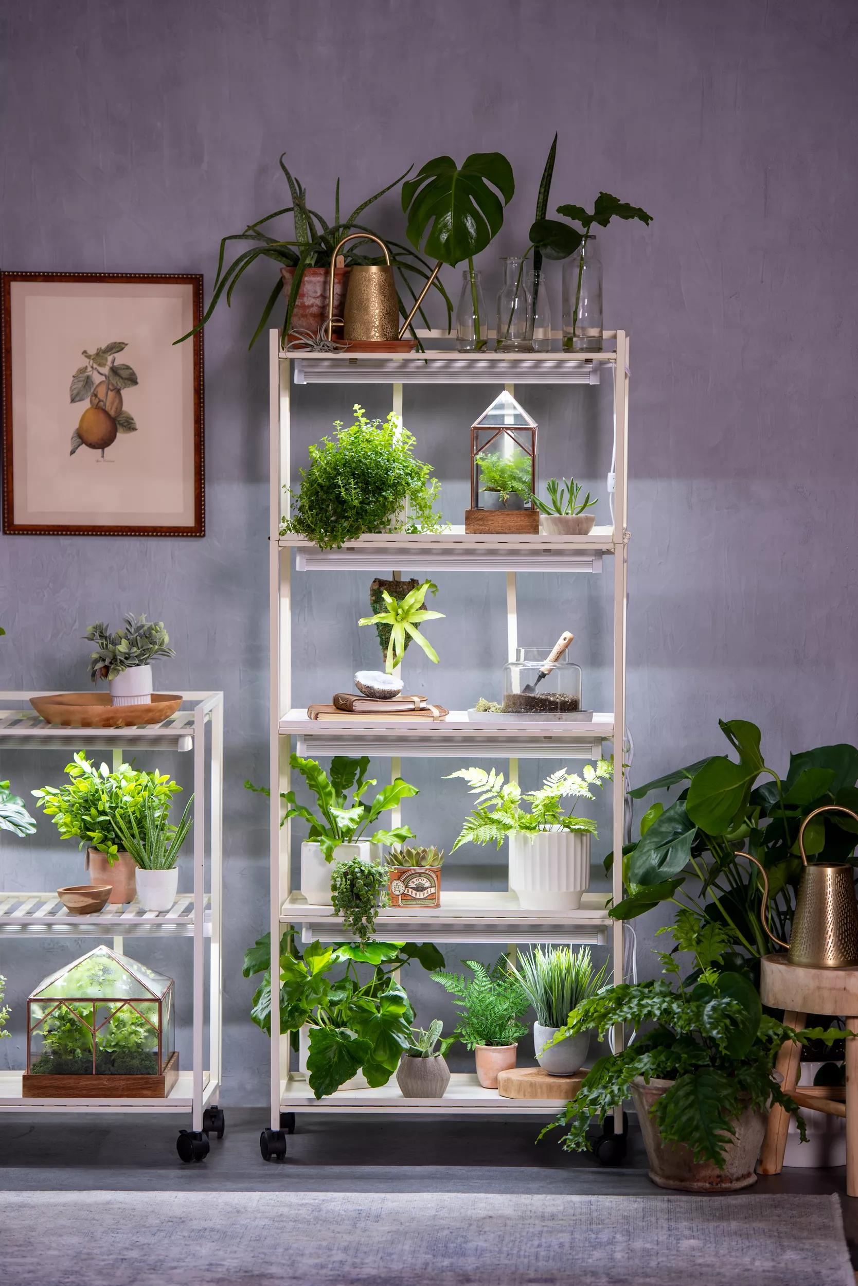 plant shelf indoor with grow light Oslo Customizable 4-Tier LED Grow Light Shelves