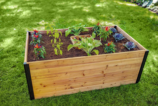  || https://assets.gardeners.com/transform/ea7b5317-eb43-4cb9-a67d-77af9276e3c7/8609394_01V-jpg