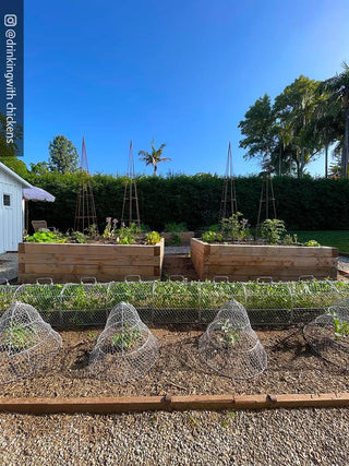  || https://assets.gardeners.com/transform/38373b00-d4b6-45ab-b96f-3018db3b02a7/8609412_01IN