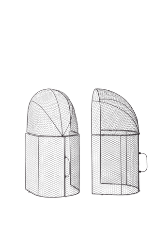  || https://assets.gardeners.com/transform/bcc9ae5d-b940-4129-8a03-cea86fc691a7/8609412_5032-tif
