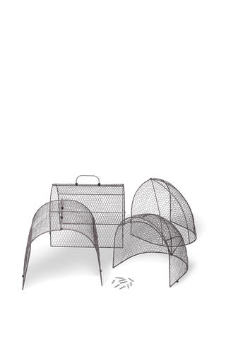  || https://assets.gardeners.com/transform/5d70b3fe-76fd-4739-a135-9a85708ea1a2/8609412_5039-tif