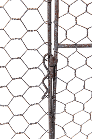  || https://assets.gardeners.com/transform/60d4414f-db0d-463b-95c3-e4a3ea500b44/8609412_6318-tif