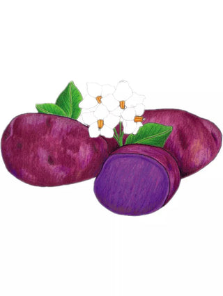  || https://assets.gardeners.com/transform/797e20b8-90e3-4717-a3ba-3832411c77c8/8609436_01V_3-4