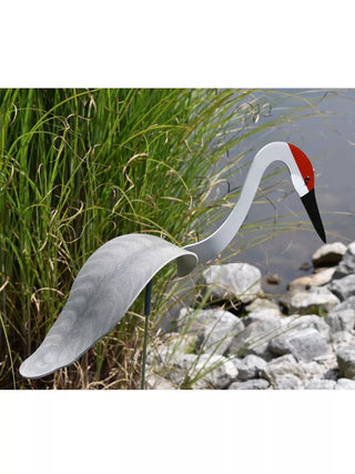  || https://assets.gardeners.com/transform/dad1f349-d84f-4245-a93a-163a02e4598d/8609444_01V_florida-dancing-birds-sand-hill-crane
