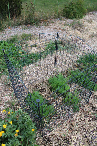  || https://assets.gardeners.com/transform/eb512b13-ff3e-4767-b415-09f881b71204/8609510_5239-tif