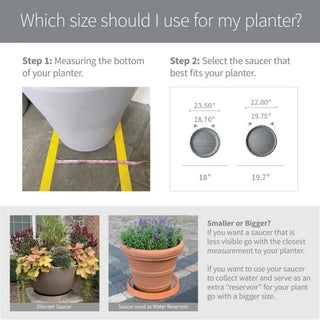  || https://assets.gardeners.com/transform/34963c4c-9c8a-48c4-9e90-1cc28e486a1d/8609730_05V