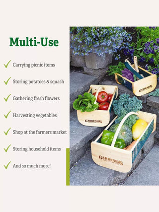  || https://assets.gardeners.com/transform/215a5c58-7163-4d57-b3a8-b6a057abd8eb/8609772_7