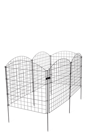  || https://assets.gardeners.com/transform/a21b6e33-d3c4-4121-b20d-2fc9dc1ce18e/8609844_2389-tif