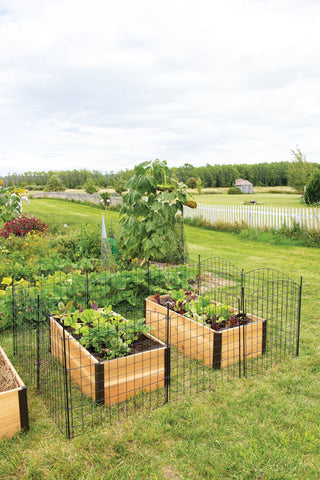  || https://assets.gardeners.com/transform/1bb4cb8d-6e95-447a-a5bc-d45a20af675c/8609844_8457-tif