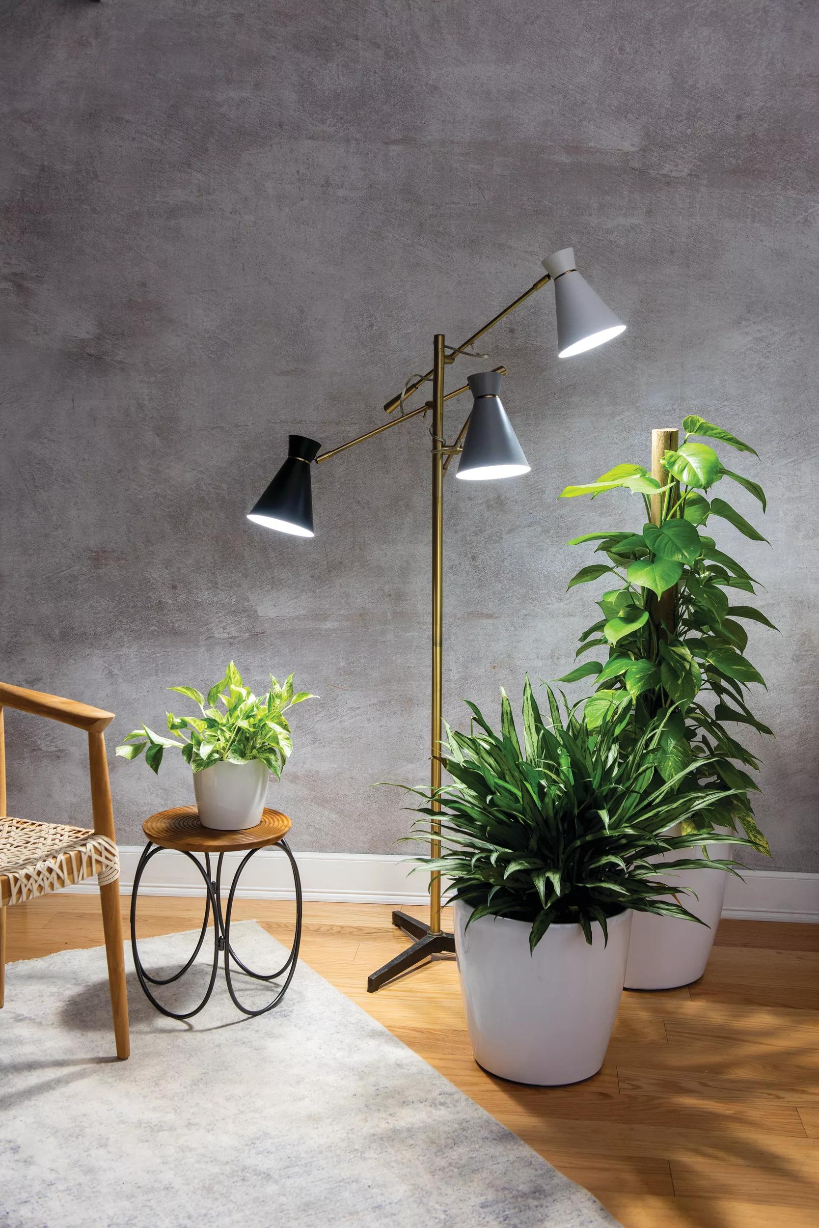lamps for growing plants indoors Adjustable 3-Arm Grow Lamp