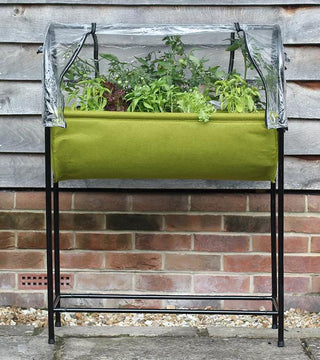  || https://assets.gardeners.com/transform/b6a9180b-39fa-4eb7-a074-c862bc22c07e/8609879_03V-tif