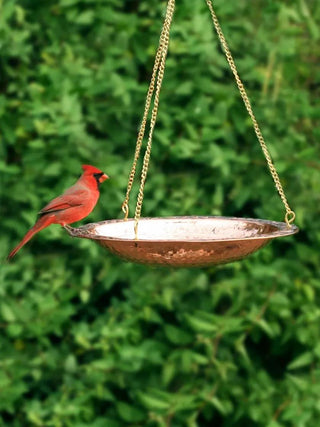  || https://assets.gardeners.com/transform/b0612d6a-4234-405b-a0d1-b0261b1db12e/8609880_02V_copper-hanging-birdbath
