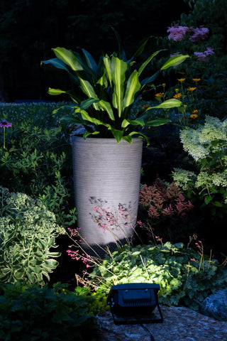  || https://assets.gardeners.com/transform/9cf0a6fb-dd8c-4939-9c05-1997b5a443a2/8609885_0017-tif