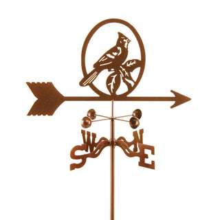  || https://assets.gardeners.com/transform/83f414ad-66cd-4002-861b-847ea970a05f/8609915_01V-jpg