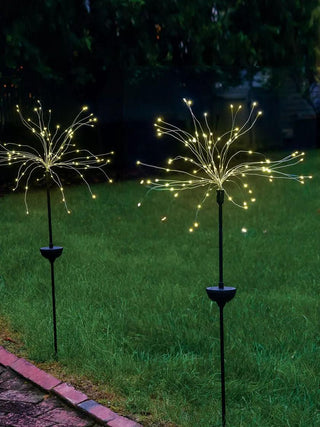  || https://assets.gardeners.com/transform/b9238881-02c1-4f3b-b824-74563f35fea5/8610187_01V