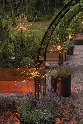  || https://assets.gardeners.com/transform/a8d58a6c-31d1-4086-bdf4-29a6dd1d3d14/8610187_036-tif