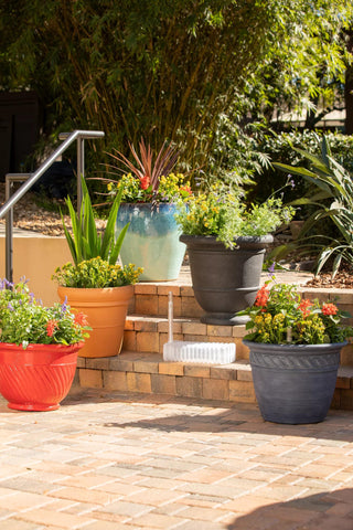  || https://assets.gardeners.com/transform/54d22a2f-3c04-45fa-964a-697315df957d/8610250_0015-tif