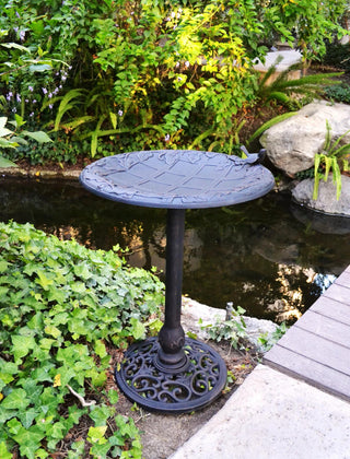  || https://assets.gardeners.com/transform/634a918a-1233-4ef0-8454-a76c80c35b8c/8610555_01V-jpg