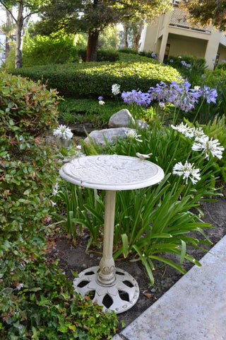 || https://assets.gardeners.com/transform/b8a3cac3-b8a6-4899-b0ce-ace40b3bb28d/8610558_02V-JPG
