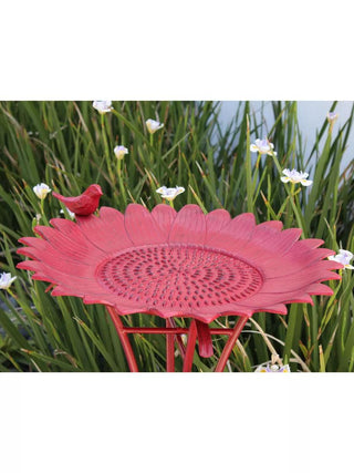  || https://assets.gardeners.com/transform/64ec9fac-5106-4b73-b134-f890d8041470/8610560_03V
