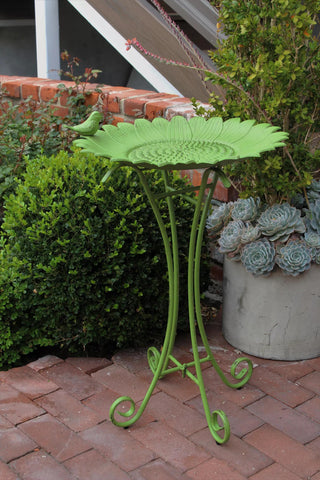  || https://assets.gardeners.com/transform/e7bf1f71-0911-4ec8-afae-adb26170628d/8610560_04V-tif