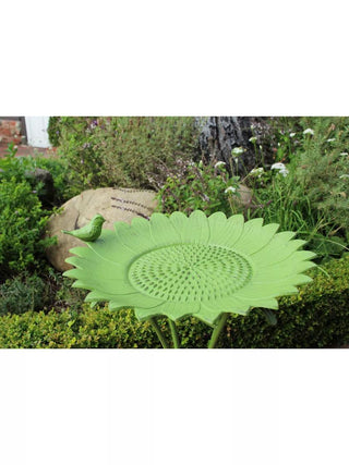  || https://assets.gardeners.com/transform/e7fc2862-ee87-49cb-bc6b-b613076ed39d/8610560_05V