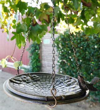  || https://assets.gardeners.com/transform/ceee4f1f-d671-4c3c-9938-b38493af6a4d/8610562_03V-jpg